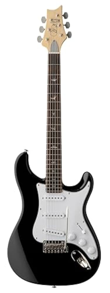 ギター PRS SE Silver Sky Piano Black 318DQP2fX+L._UF1000,1000_QL80_.jpg